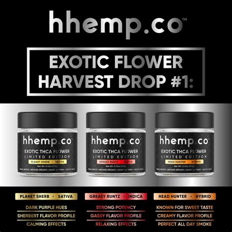 Hemp Designs - 626+ Hemp Design Ideas, Images & Inspiration In 2024 | 99designs