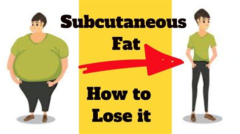 What Is Subcutaneous Fat and How to get rid of Subcutaneous Fat - YouTube