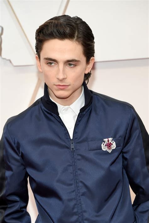 Timothée Chalamet at the Oscars 2020 | 2020 Oscars: See All the Best ...