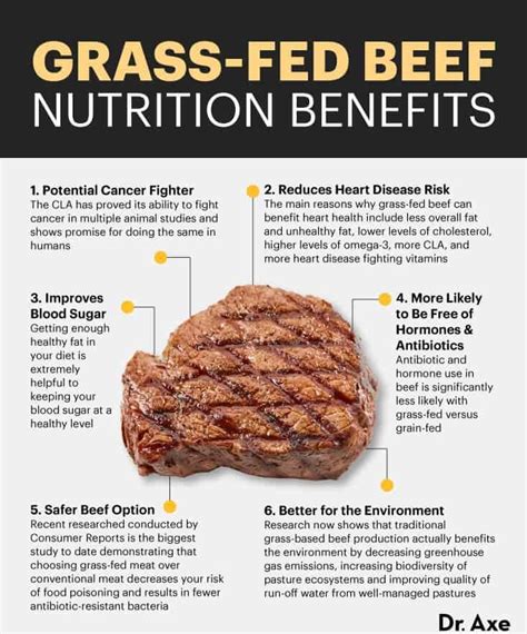 6 Grass-Fed Beef Nutrition Benefits that May Surprise You - Safe Home DIY