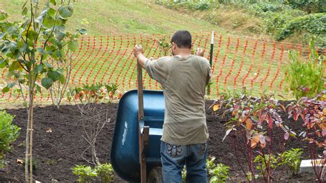 Bioswale Construction in Philly. 10/23/12