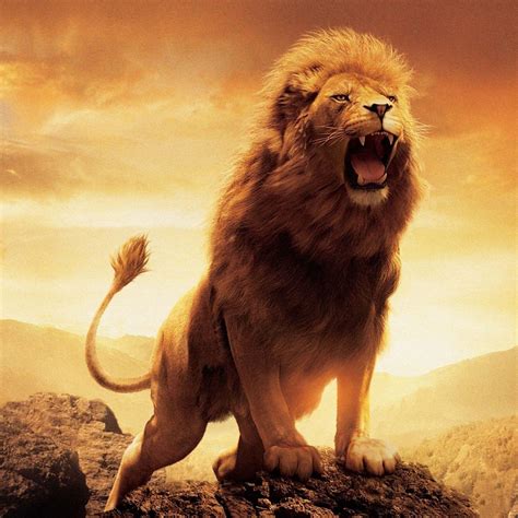 Roaring Lion Wallpapers 3d