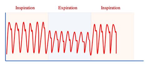 Cureus | Where Are We Heading With Fluid Responsiveness and Septic Shock?