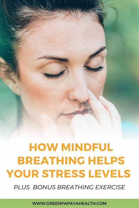 How Mindful Breathing Helps Your Stress Levels + Bonus Breathing Exercise - Vashti Kanahele