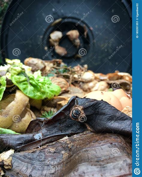 Gardening Compost Bin Full of Vegetation Stock Image - Image of ...