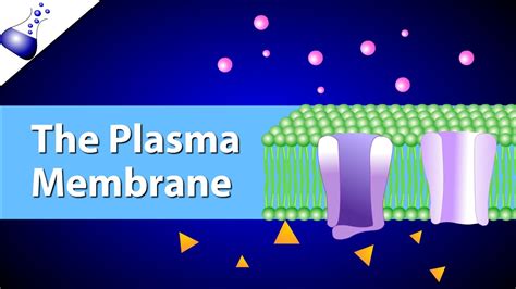 Fluid Mosaic Model Animation