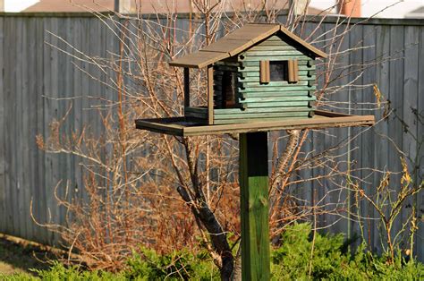 bird-feeder | Bird house, Bird houses, Bird house feeder