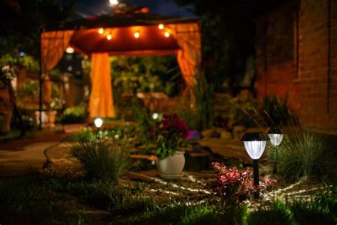 The Magic of Night Blooming Plants: 8 Must-Haves for Your Garden