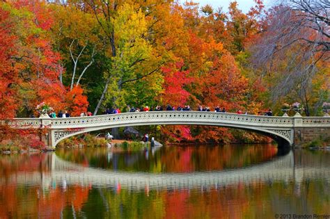 Central Park Fall Wallpaper - WallpaperSafari