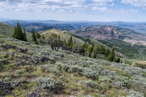 Jarbidge Wilderness | CK Outside