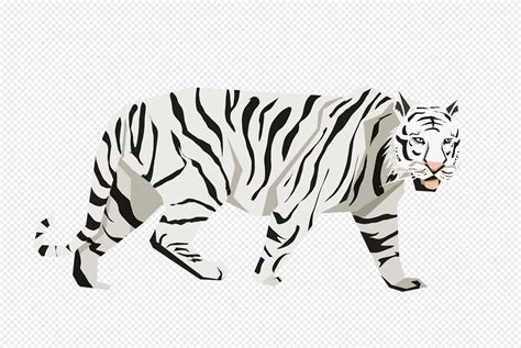 Right White Tiger PNG Images With Transparent Background | Free ...