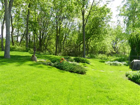 Landscaping (10) Free Stock Photo - Public Domain Pictures