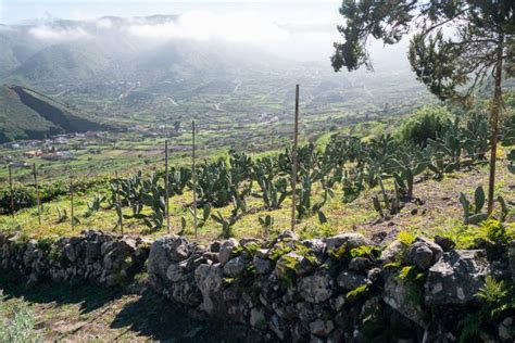 10 Of The Best Hikes In The Canary Islands