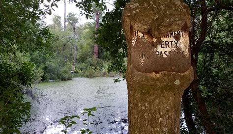 SREL staffer photo helps tell history of Savannah River Site - SREL