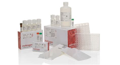 Luminex Instruments and Multiplex Assays | Thermo Fisher Scientific - UK