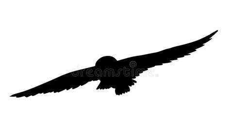 Flying Owl Silhouette Stock Illustrations – 5,819 Flying Owl Silhouette Stock Illustrations ...