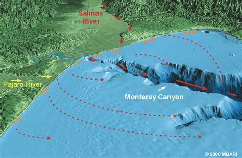 Geological changes group | Geology, Salinas river, Monterey bay