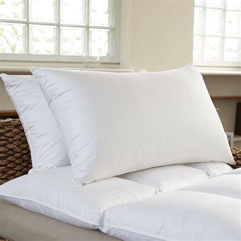 Sweet Home Collection Premium Standard Bed Pillow & Reviews | Wayfair