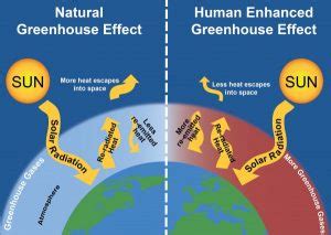 Erosion of Ozone layer, Global warming phenomenon & Greenhouse effect ...