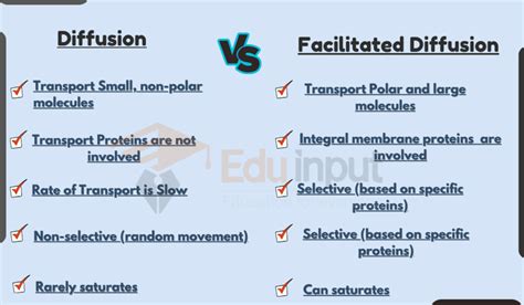 Diffusion vs. Facilitated Diffusion-Passive & Assisted Movement