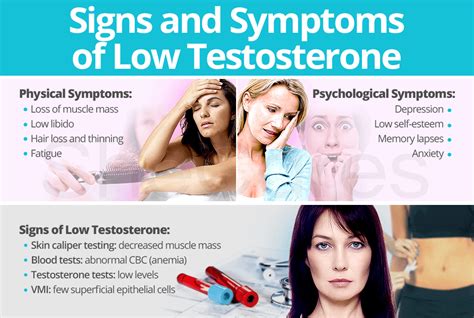 Signs and Symptoms of Low Testosterone | SheCares