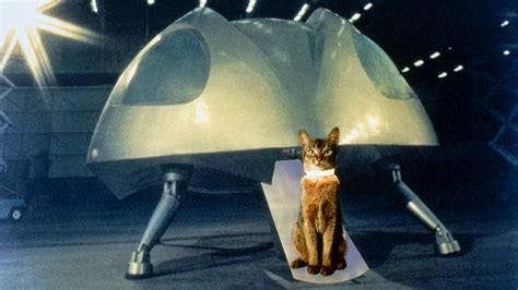 The Cat from Outer Space Movie Review and Ratings by Kids