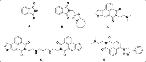 Chemical structure of phthalimide (A) and phthalimide analogs (B-E ...