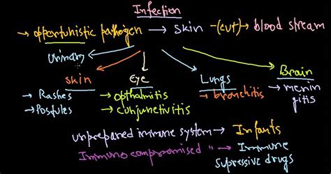 Pseudomonas aeruginosa infection - rat snake texas