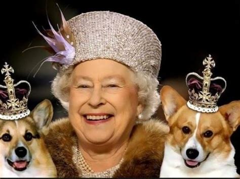 16 Facts About Corgis - Queen Elizabeth II - The Dogman