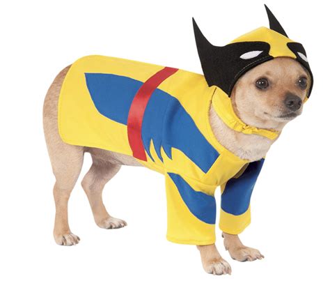 22 Super-Cute Halloween Costumes for Chihuahuas - Hey, Djangles.