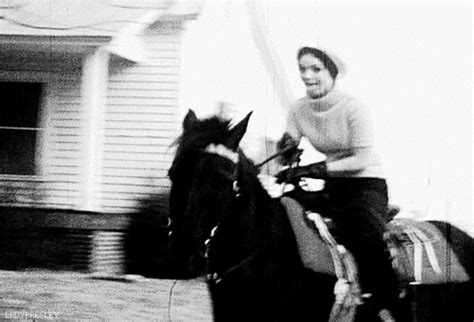 Priscilla-Presley-on-horseback-at-the-Circle-G-Ranch.gif (500×340) | Elvis presley, Priscilla ...