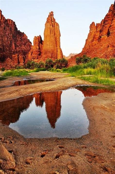 Saudi Arabia Landscape #saudiarabia #saudi #arabia #landscape in 2020 ...