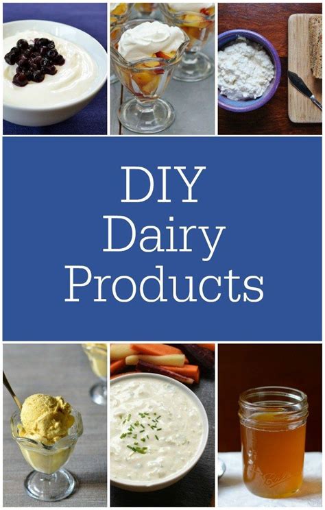 Easy DIY Dairy Products | Real food recipes, Cheese making recipes, Food