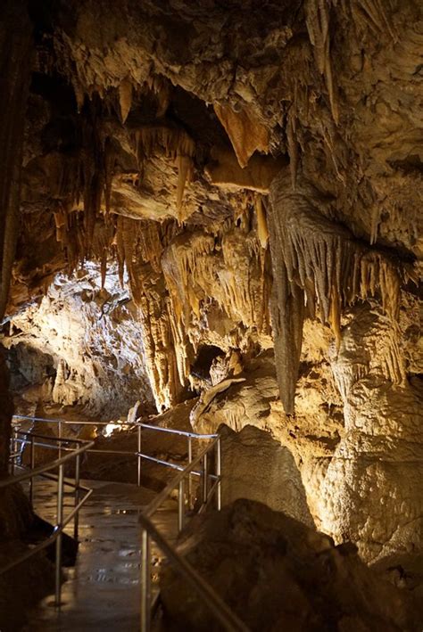 Lake Shasta Caverns Tour - Redding, CA - Happiness is Homemade