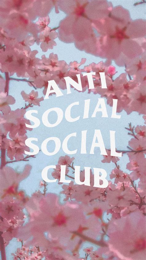 Top 999+ Anti Social Social Club Wallpaper Full HD, 4K Free to Use