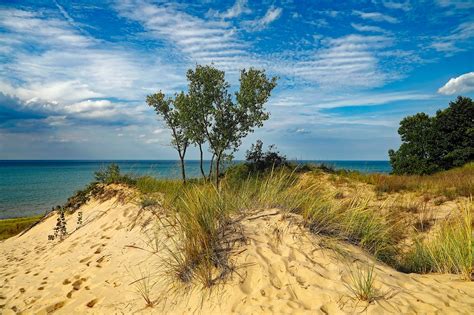 Chesterton: Indiana Dunes State Park Beach — Pet Friendly Travel