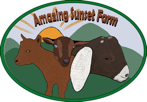 Amazing Sunset Farm Colton | Amazing Sunset Farm