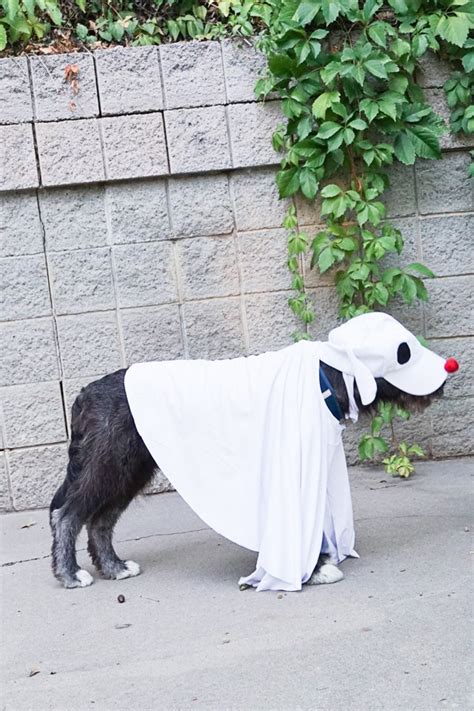 Ghost Dog Costume