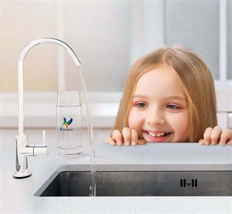 Selecting the Best Under the Counter Water Filtration System - Whole Home Water, Ventilation ...