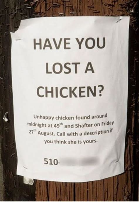 Funny Lost and Found Signs (30 Pics) | Funny Signs