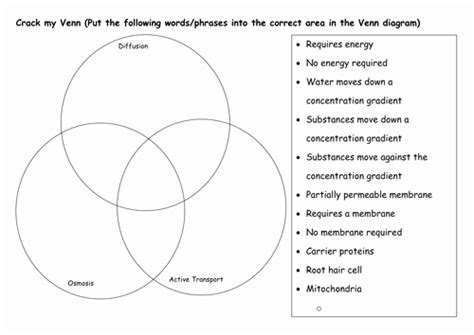 50 Active And Passive Transport Worksheet