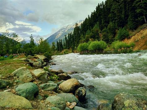 HOTEL TOURIST PALACE (Pahalgam, Kashmir) - Hotel Reviews & Photos ...