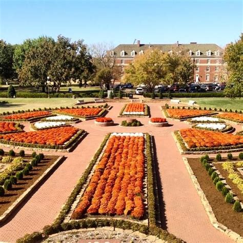 Campus Terrain on Twitter | Oklahoma state university, Stillwater oklahoma, Oklahoma state