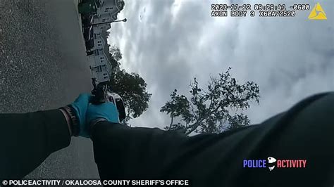 Bonkers moment Florida cop opens fire on handcuffed, unarmed suspect in ...