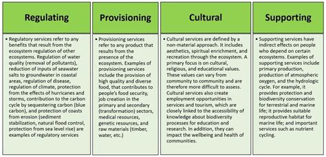 Services of blue carbon ecosystems | Download Scientific Diagram