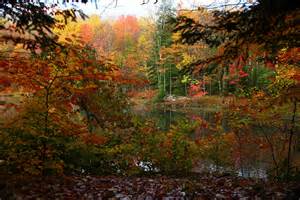 File:Fall-foliage-colors-forest-lake - West Virginia - ForestWander.jpg ...