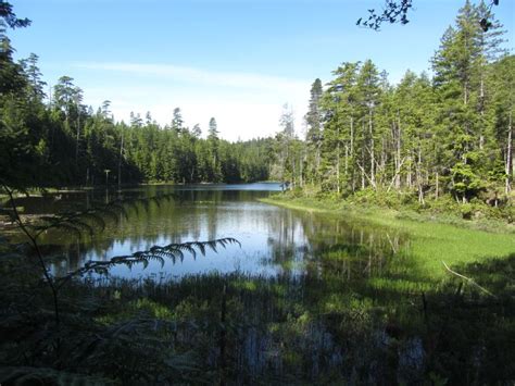 Newton Lake Trail & Small Inlet – Wyatt Bay Trail | Quadra Island Trails