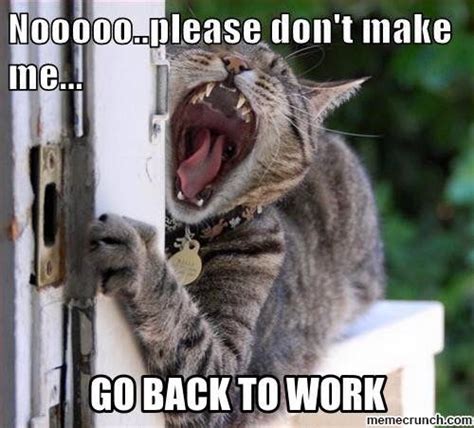 Noo...please don't make me go to work. | Back to work humour, Work ...