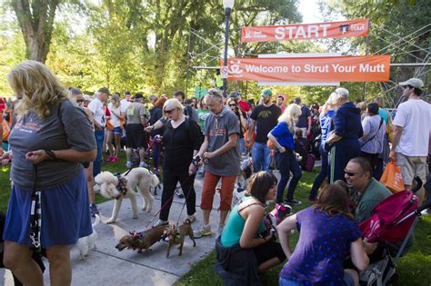 Don’t miss Best Friends’ Strut Your Mutt this weekend