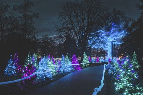 Garden Glow | Missouri Botanical Garden | Tours, Christmas | St. Louis News and Events ...